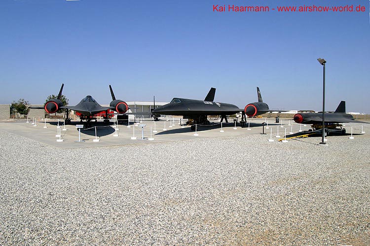 aw-04-muspalm-004-mt