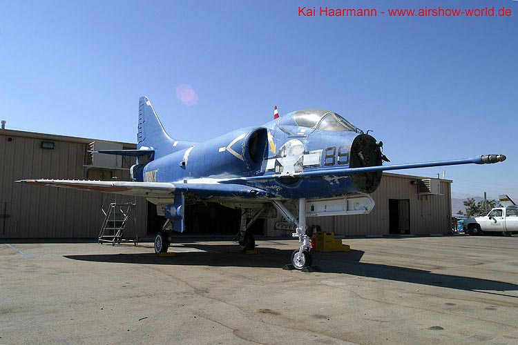 aw-04-muspalm-048-mt