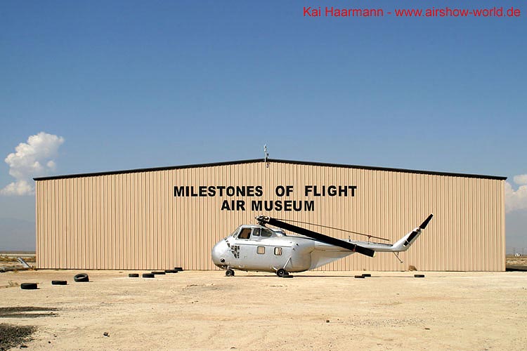 aw-04-muspalm-083-mt