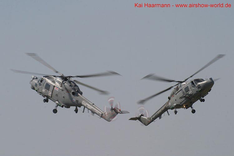 aw-05-fair-cats-15-mt
