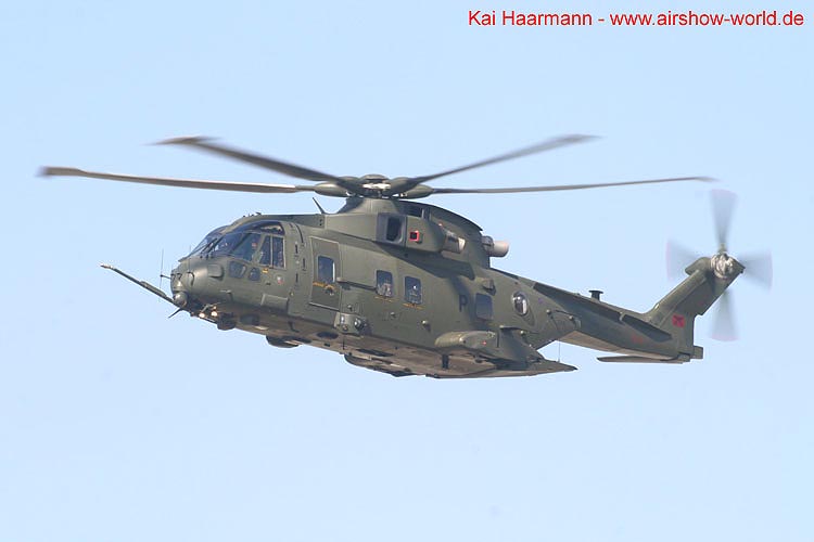aw-05-fair-merlin-05-mt