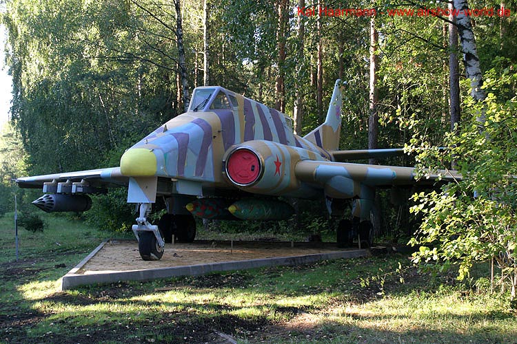 aw-05-maks-guard-8-mt