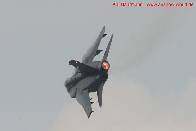 aw-05-witt-dis-gr4-1-wt