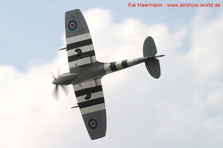 aw-05-witt-dis-spit-3-wt