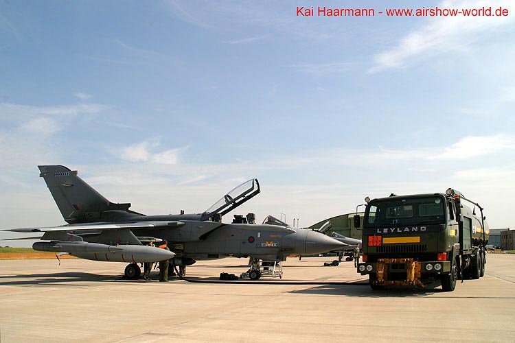 aw-05-witt-fam-gr4-1-wt