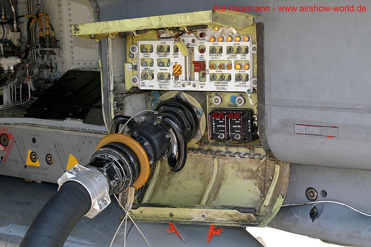 aw-05-witt-fam-gr4-2-wt
