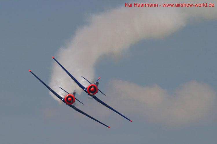 aw-05-zelt-eich-06-mt