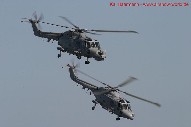 aw-06-fair-blcats-1-mt