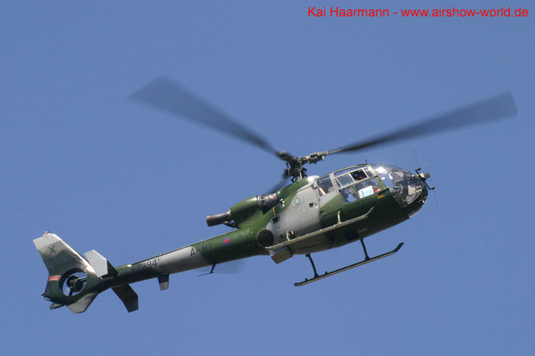 aw-06-fair-bleagles-3-mt