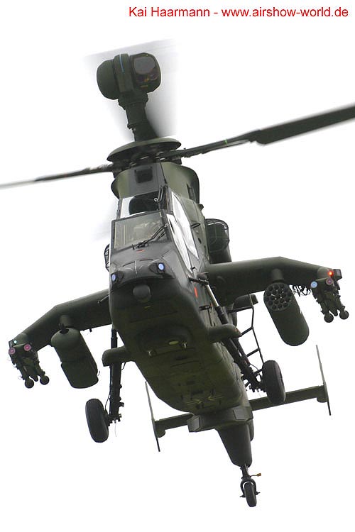 aw-06-ila-tiger-08-mt