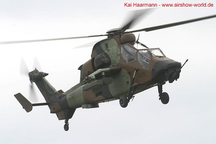 aw-06-ila-tiger-09-mt