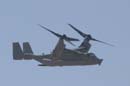 aw-04-edwards-075-mt