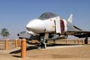 aw-04-muspalm-028-mt