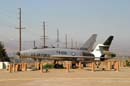aw-04-muspalm-042-mt