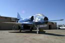 aw-04-muspalm-048-mt