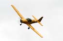 aw-04-riat-firefly-mt