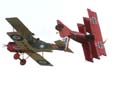 aw-04-siad-flcircus-39-mt