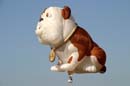 aw-05-fair-ballon-5-mt