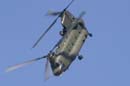 aw-05-fair-chinook-11-mt