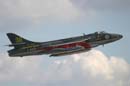 aw-05-fair-hunter-1-mt