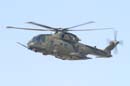 aw-05-fair-merlin-05-mt
