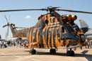 aw-05-fair-st-puma-1-mt