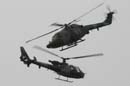 aw-05-gilze-bleag-2-mt