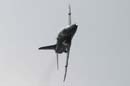 aw-05-witt-dis-hawk-1-wt