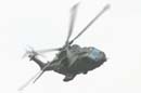 aw-05-witt-dis-merl-5-wt