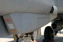 aw-05-witt-fam-gr4-5-wt
