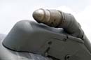 aw-05-witt-gr7-005-wt