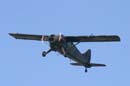 aw-06-fair-beaver-1-mt