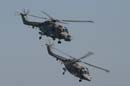 aw-06-fair-blcats-1-mt