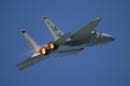 aw-06-fair-f15-09-mt