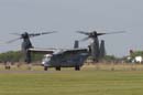 aw-06-fair-osprey-04-mt