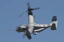 aw-06-fair-osprey-12-mt