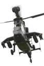 aw-06-ila-tiger-08-mt