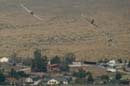 aw-06-reno-race-at6-02-mt